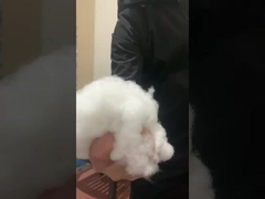 أسعار الإنتاج