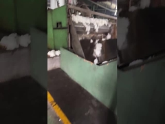 الألياف المتعددة المتعددة المتجددة 100٪ ألياف البوليستر المتوسطة الألياف القصيرة