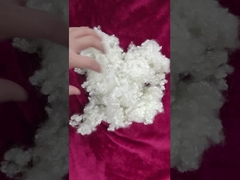 البوليستر الألياف الغذائية الأساسية